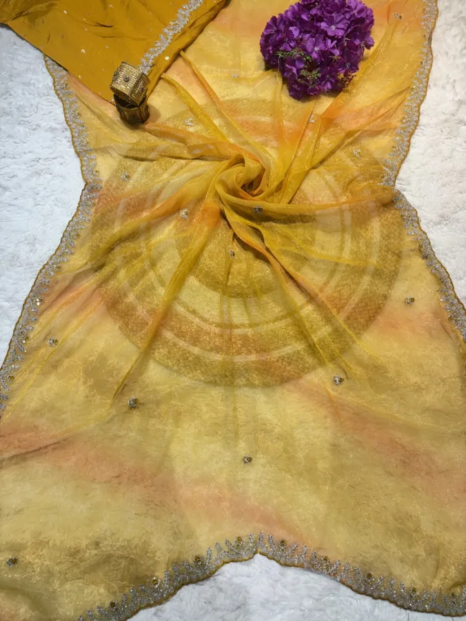 NEELAM TRADERS NEW LAUNCH TRENDING Partywear simmer fabric saree with pithan resham work All Over