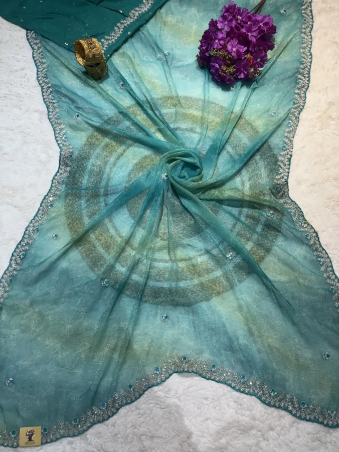 NEELAM TRADERS NEW LAUNCH TRENDING Partywear simmer fabric saree with pithan resham work All Over