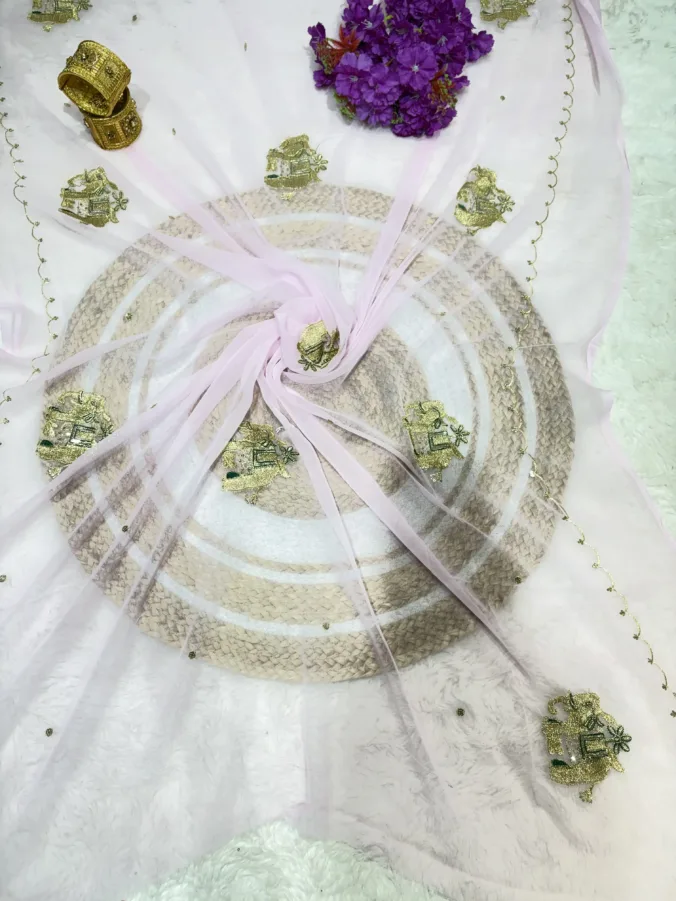 NEELAM TRADERS NEW LAUNCH TRENDING Hathi work saree  without blouse in soft chiffon fabric