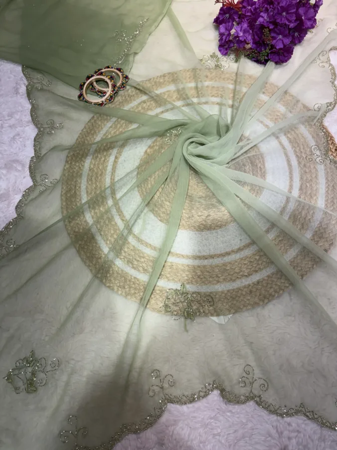 NEELAM TRADERS NEW LAUNCH TRENDING Girlish saree with light to dark shade and hand applic katdana work all over in soft Chiffon Fabric
